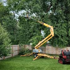 Best Tree Risk Assessment  in Blue Point, NY